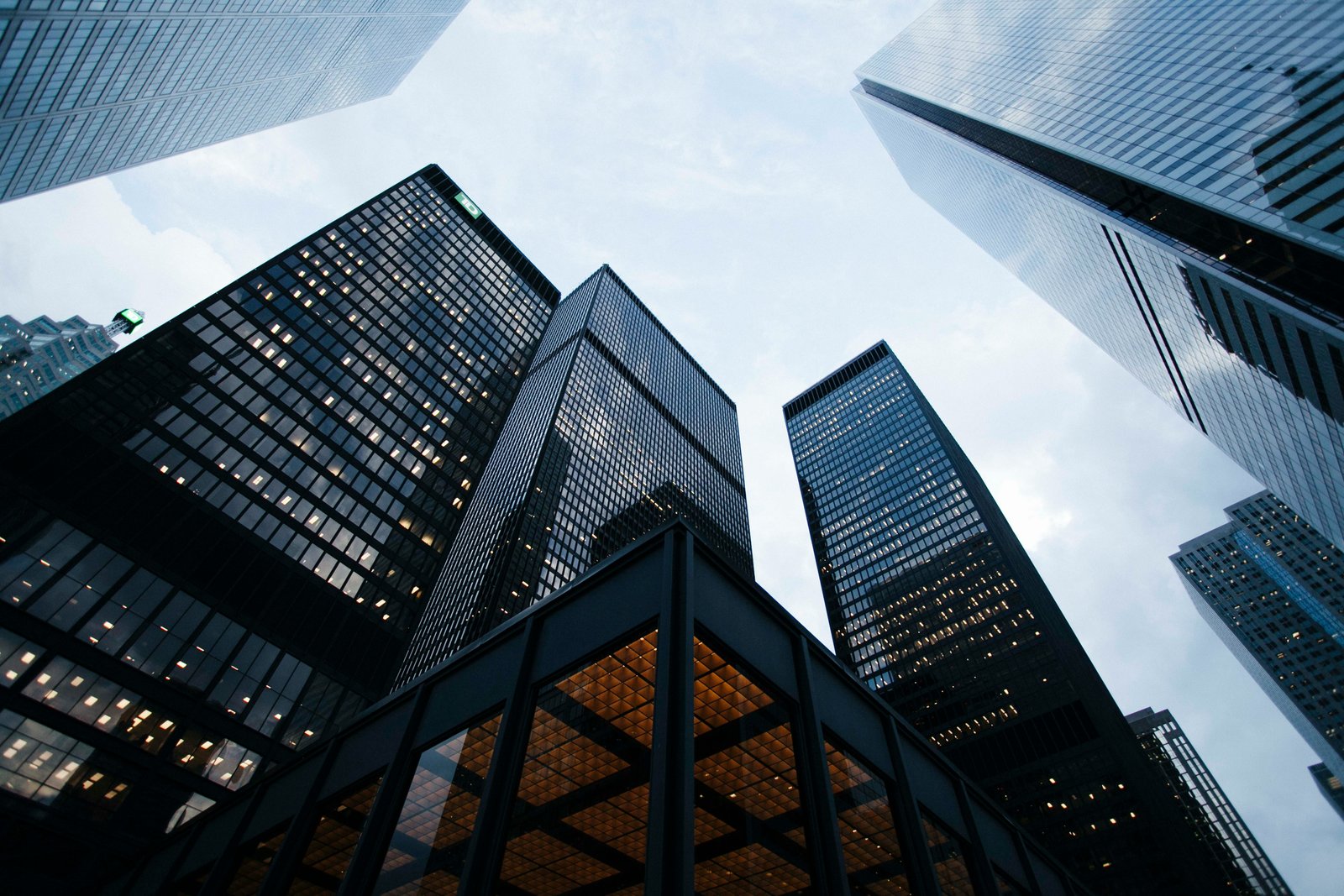 Business growth and team scaling upward, showing how a CFO supports sustainable growth