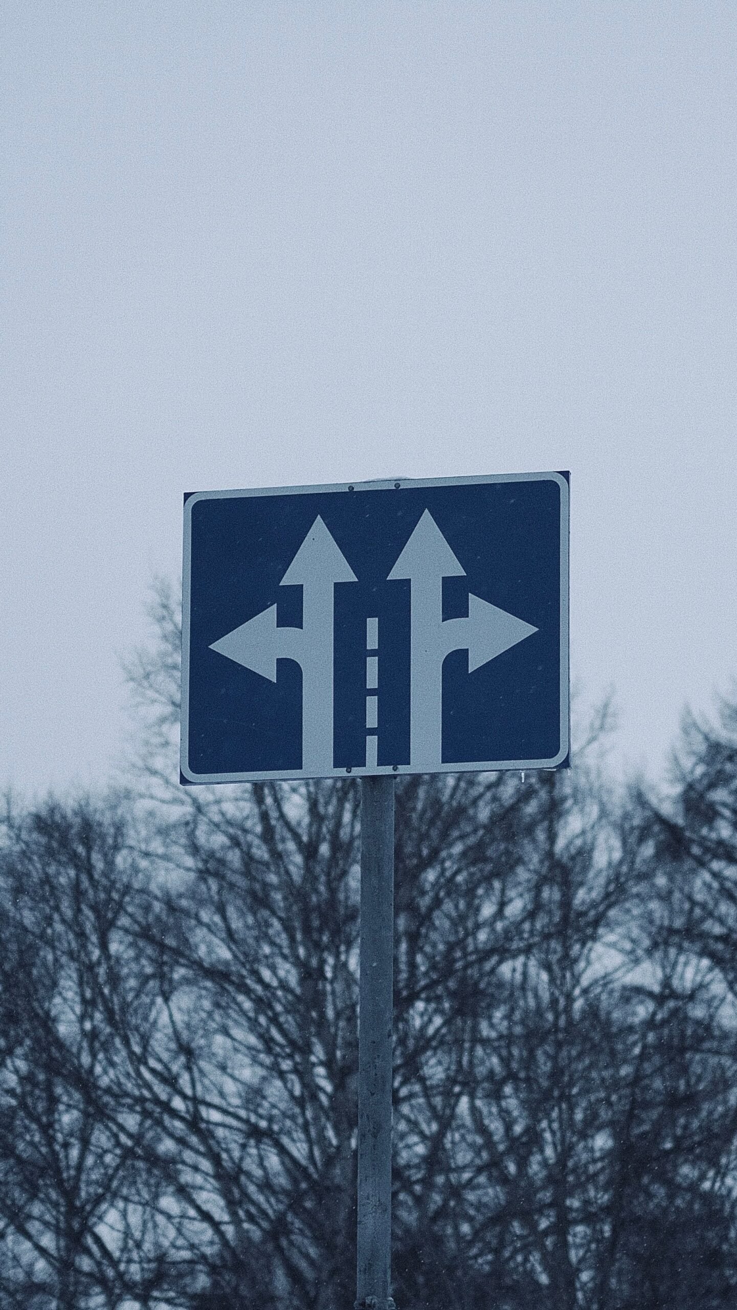 Fractional CFO vs Portfolio CFO Jobs: Which Career Path Suits You?